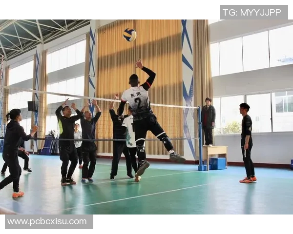 陈丽独家分享排球心得与技巧助你提升球技的秘诀与经验